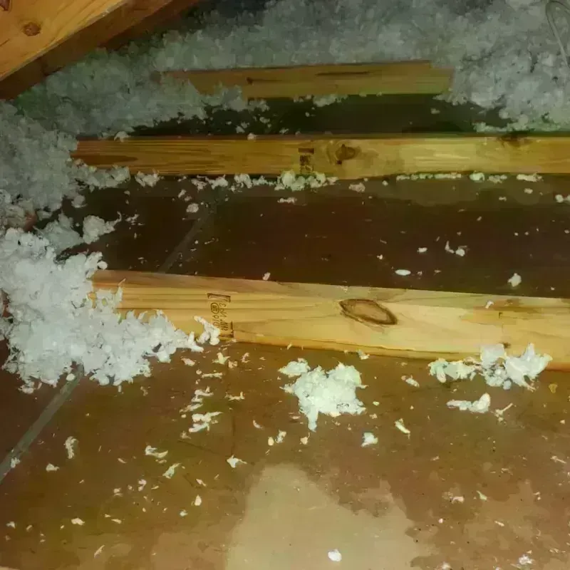 Attic Water Damage in Bean Station, TN